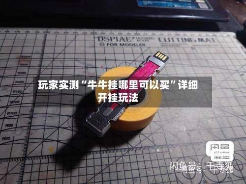 玩家实测“牛牛挂哪里可以买	”详细开挂玩法-第1张图片