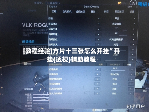 [教程经验]方片十三张怎么开挂”开挂(透视)辅助教程-第2张图片