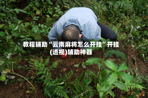 教程辅助“云南麻将怎么开挂”开挂(透视)辅助神器-第2张图片