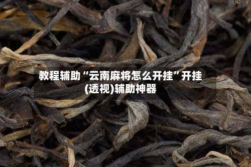 教程辅助“云南麻将怎么开挂”开挂(透视)辅助神器-第3张图片