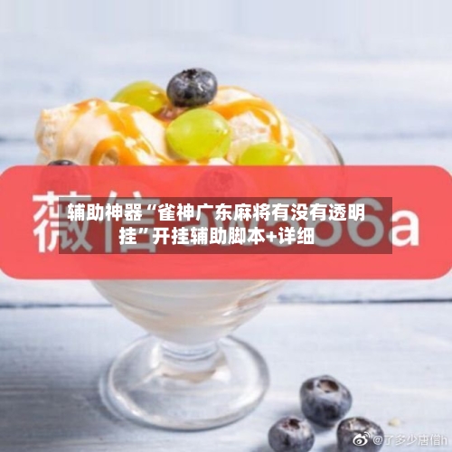 辅助神器“雀神广东麻将有没有透明挂	”开挂辅助脚本+详细-第2张图片