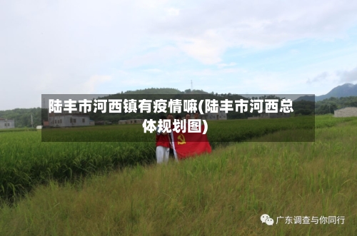 陆丰市河西镇有疫情嘛(陆丰市河西总体规划图)-第1张图片