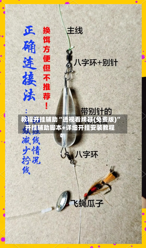 教程开挂辅助“透视看牌器(免费版)”开挂辅助脚本+详细开挂安装教程-第2张图片