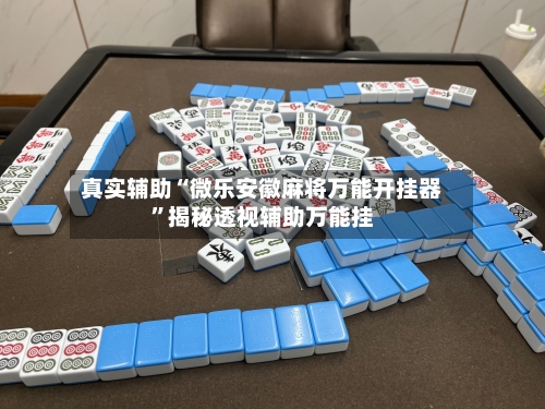 真实辅助“微乐安徽麻将万能开挂器”揭秘透视辅助万能挂-第2张图片