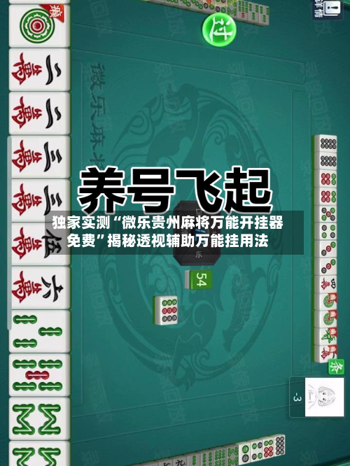 独家实测“微乐贵州麻将万能开挂器免费”揭秘透视辅助万能挂用法-第3张图片