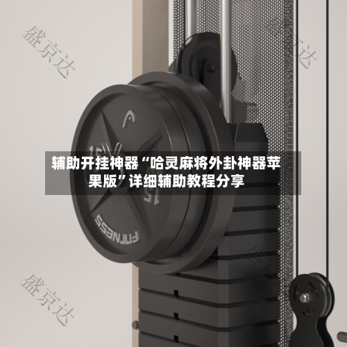 辅助开挂神器“哈灵麻将外卦神器苹果版”详细辅助教程分享-第1张图片