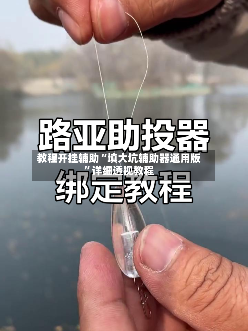 教程开挂辅助“填大坑辅助器通用版”详细透视教程-第3张图片