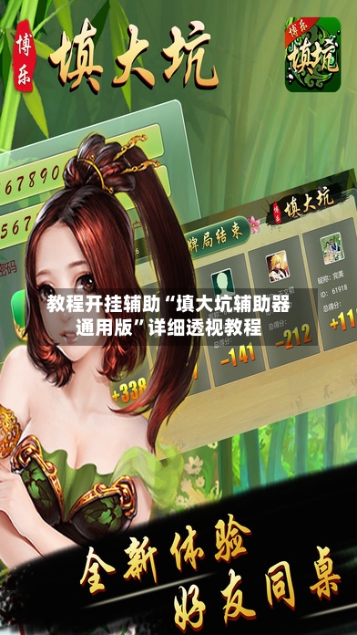 教程开挂辅助“填大坑辅助器通用版”详细透视教程-第2张图片