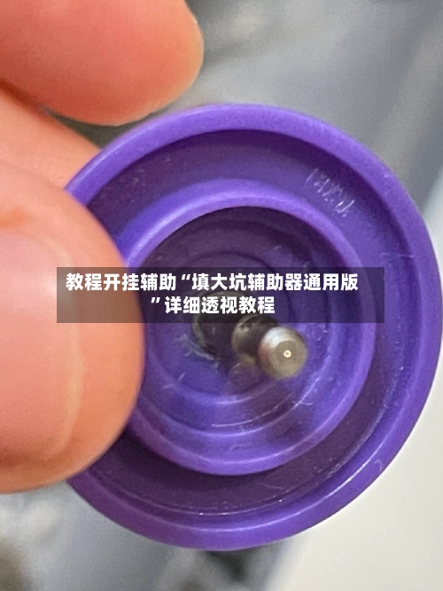 教程开挂辅助“填大坑辅助器通用版	”详细透视教程-第1张图片