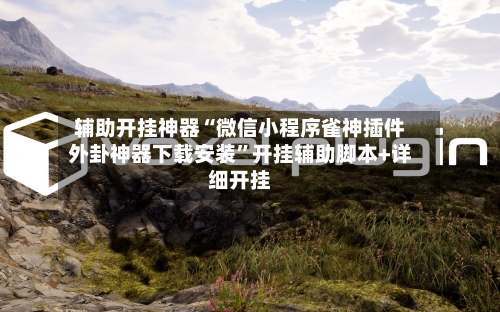 辅助开挂神器“微信小程序雀神插件外卦神器下载安装	”开挂辅助脚本+详细开挂-第1张图片