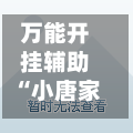 万能开挂辅助“小唐家乐园辅助器”附开挂脚本详细步骤-第2张图片