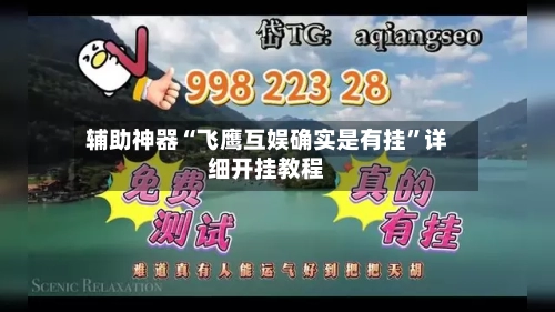辅助神器“飞鹰互娱确实是有挂	”详细开挂教程-第1张图片