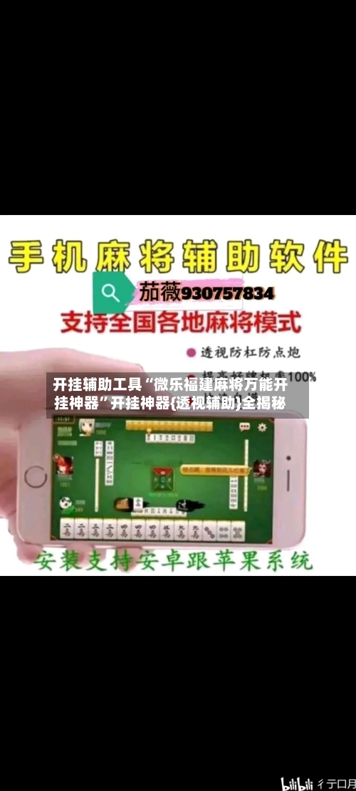 开挂辅助工具“微乐福建麻将万能开挂神器”开挂神器{透视辅助}全揭秘-第2张图片