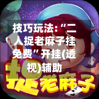 技巧玩法:“二人捉老麻子挂免费	”开挂(透视)辅助-第3张图片