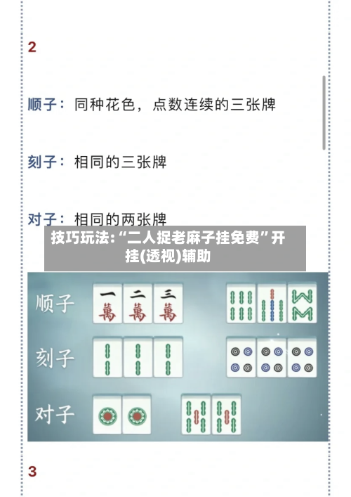 技巧玩法:“二人捉老麻子挂免费”开挂(透视)辅助-第2张图片