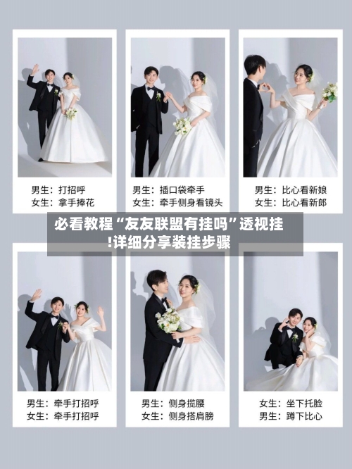 必看教程“友友联盟有挂吗”透视挂!详细分享装挂步骤-第1张图片