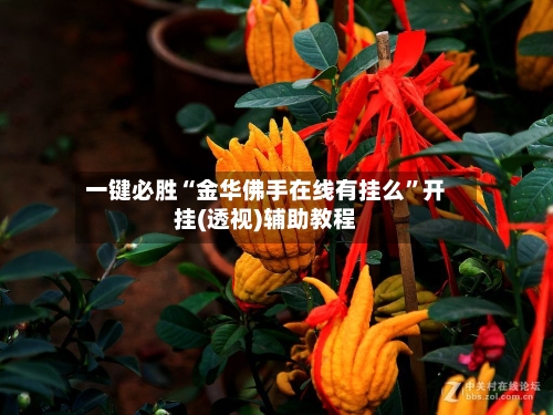 一键必胜“金华佛手在线有挂么”开挂(透视)辅助教程-第1张图片