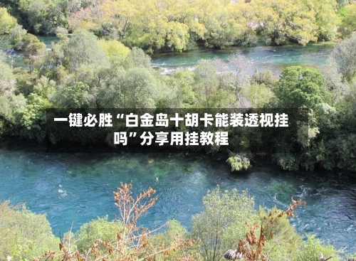 一键必胜“白金岛十胡卡能装透视挂吗”分享用挂教程-第2张图片