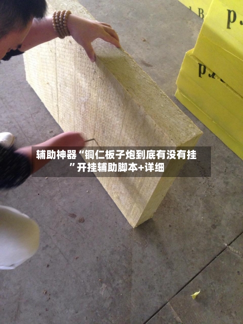 辅助神器“铜仁板子炮到底有没有挂	”开挂辅助脚本+详细-第1张图片