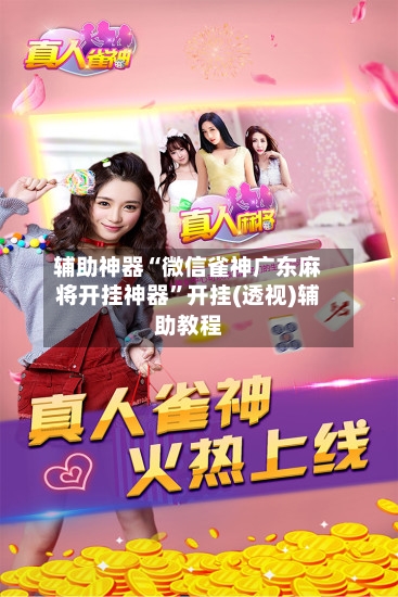 辅助神器“微信雀神广东麻将开挂神器	”开挂(透视)辅助教程-第3张图片