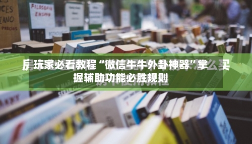 玩家必看教程“微信牛牛外卦神器”掌握辅助功能必胜规则-第2张图片