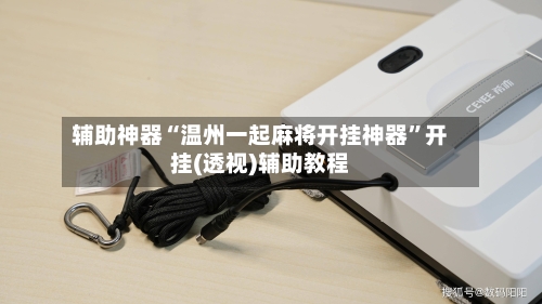 辅助神器“温州一起麻将开挂神器	”开挂(透视)辅助教程-第1张图片