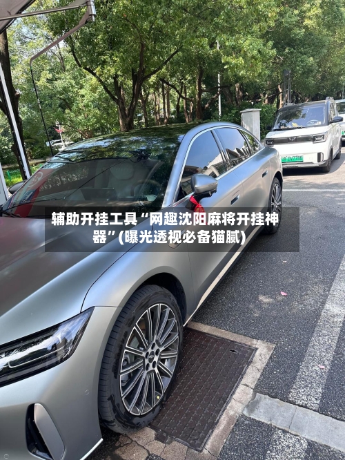 辅助开挂工具“网趣沈阳麻将开挂神器”(曝光透视必备猫腻)-第1张图片