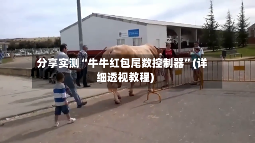 分享实测“牛牛红包尾数控制器”(详细透视教程)-第2张图片