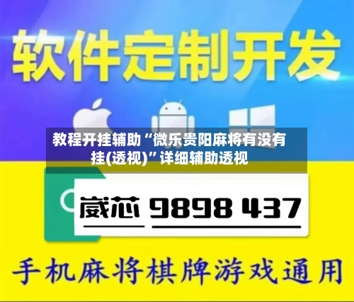 教程开挂辅助“微乐贵阳麻将有没有挂(透视)	”详细辅助透视-第1张图片