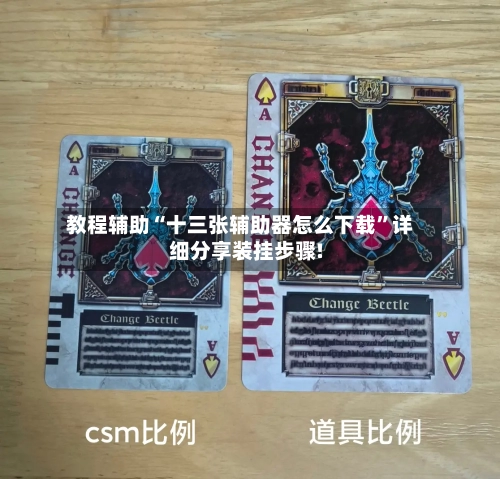 教程辅助“十三张辅助器怎么下载”详细分享装挂步骤!-第2张图片