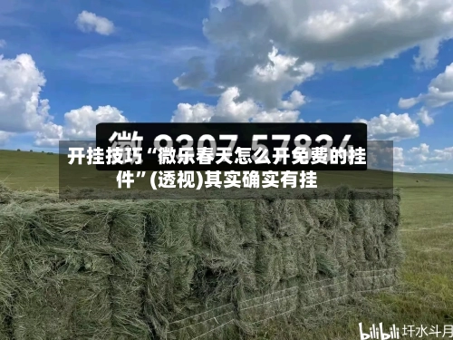 开挂技巧“微乐春天怎么开免费的挂件”(透视)其实确实有挂-第1张图片