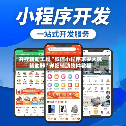 开挂辅助工具“微信小程序家乡大贰辅助器	”详细辅助软件教程-第1张图片