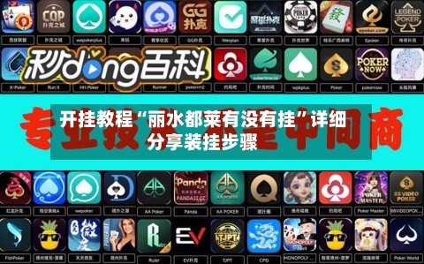 开挂教程“丽水都莱有没有挂”详细分享装挂步骤-第1张图片