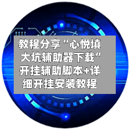 教程分享“心悦填大坑辅助器下载	”开挂辅助脚本+详细开挂安装教程-第3张图片
