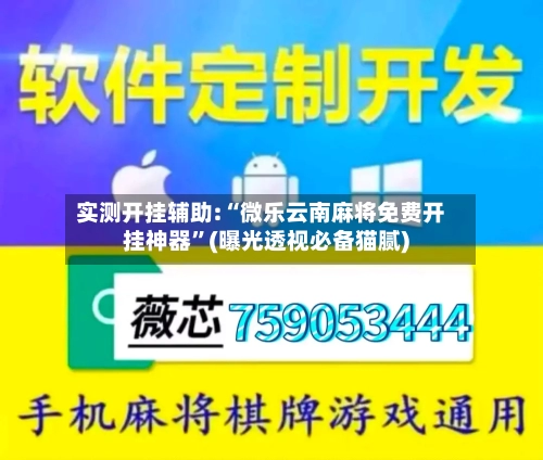 实测开挂辅助:“微乐云南麻将免费开挂神器”(曝光透视必备猫腻)-第1张图片