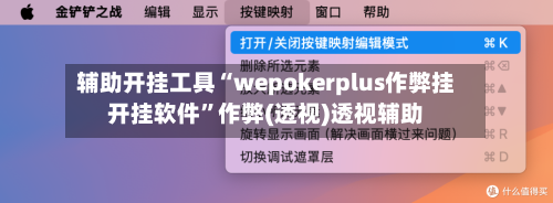 辅助开挂工具“wepokerplus作弊挂开挂软件”作弊(透视)透视辅助-第1张图片