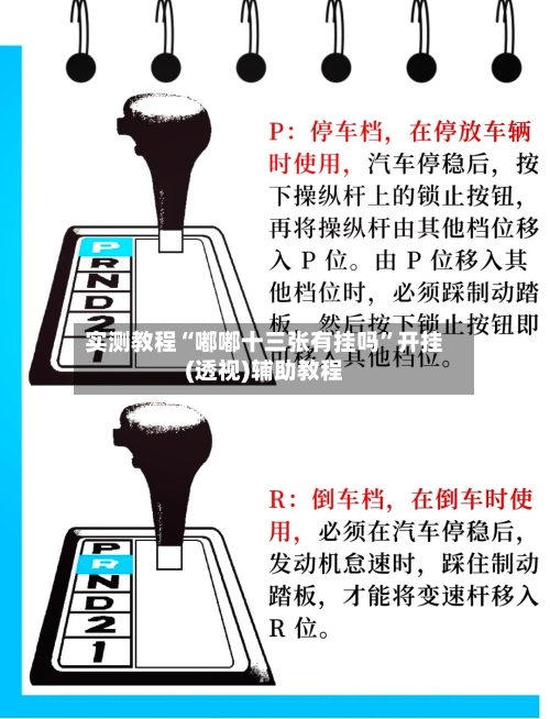 实测教程“嘟嘟十三张有挂吗	”开挂(透视)辅助教程-第1张图片