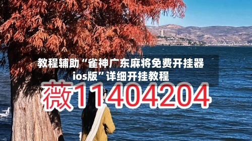教程辅助“雀神广东麻将免费开挂器ios版	”详细开挂教程-第2张图片