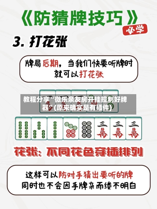 教程分享“微乐亲友房开挂控制好牌器”(原来确实是有插件)-第2张图片