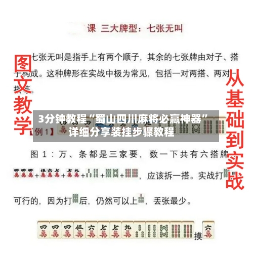 3分钟教程“蜀山四川麻将必赢神器	”详细分享装挂步骤教程-第2张图片