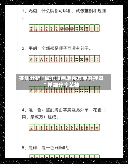 实测分析“微乐陕西麻将万能开挂器”详细分享装挂-第3张图片