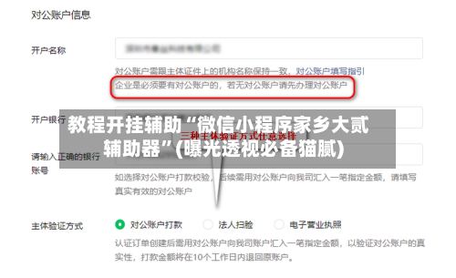 教程开挂辅助“微信小程序家乡大贰辅助器”(曝光透视必备猫腻)-第1张图片