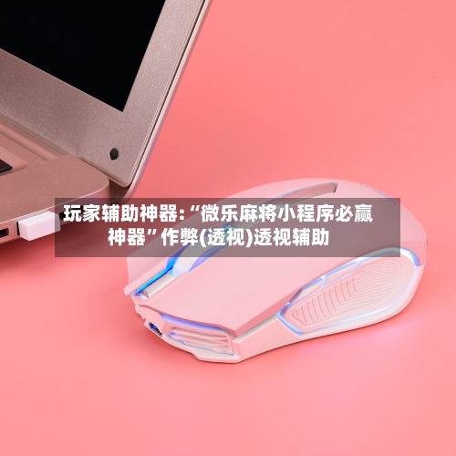 玩家辅助神器:“微乐麻将小程序必赢神器”作弊(透视)透视辅助-第1张图片