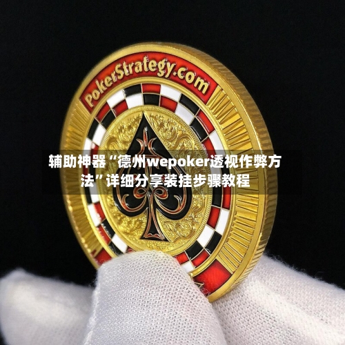 辅助神器“德州wepoker透视作弊方法	”详细分享装挂步骤教程-第2张图片