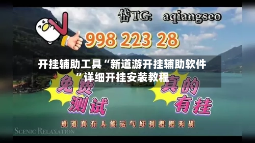开挂辅助工具“新道游开挂辅助软件”详细开挂安装教程-第2张图片