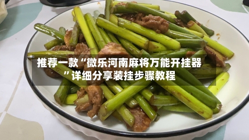 推荐一款“微乐河南麻将万能开挂器	”详细分享装挂步骤教程-第2张图片