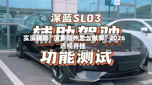 实测辅助“菠萝德州怎么做弊”2026透视开挂-第1张图片