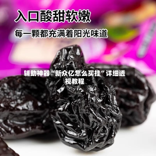 辅助神器“新众亿怎么买挂”详细透视教程-第1张图片