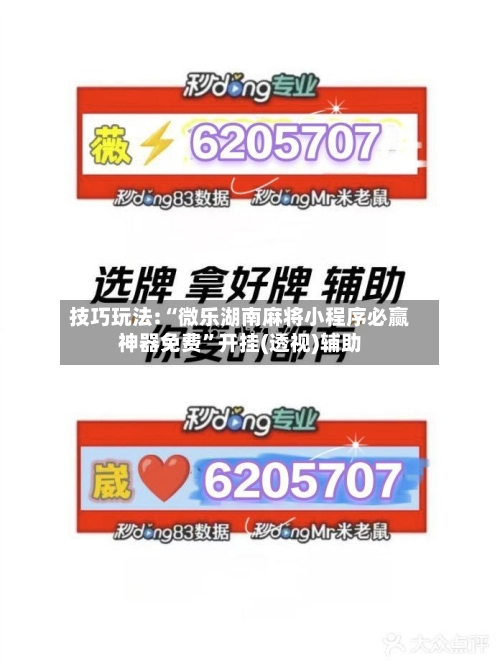 技巧玩法:“微乐湖南麻将小程序必赢神器免费”开挂(透视)辅助-第2张图片
