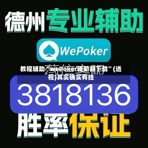 教程辅助“wePoker辅助器下载”(透视)其实确实有挂-第2张图片